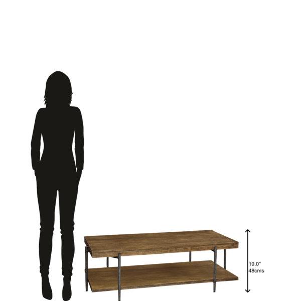 Birch Lane™ Ashley Coffee Table & Reviews Wayfair